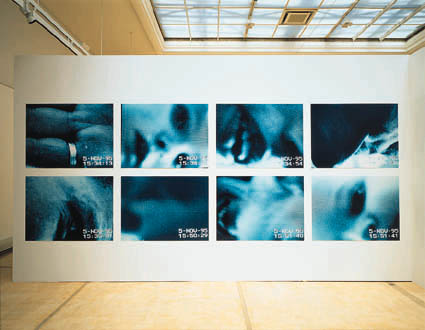 radical images, graz